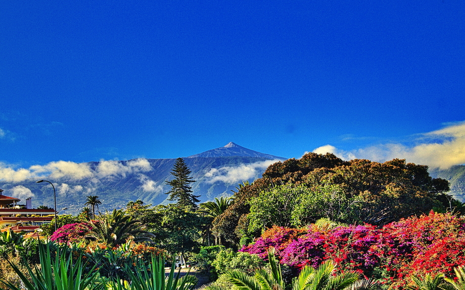 Teide-Gipfel auf Teneriffa
