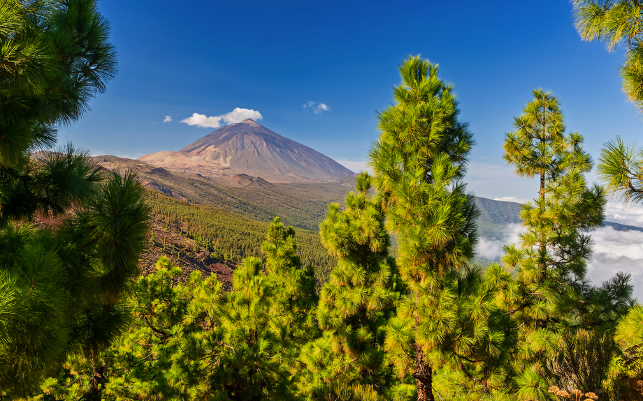 Vulkan Teide – Blick vom Mirador La Crucita 