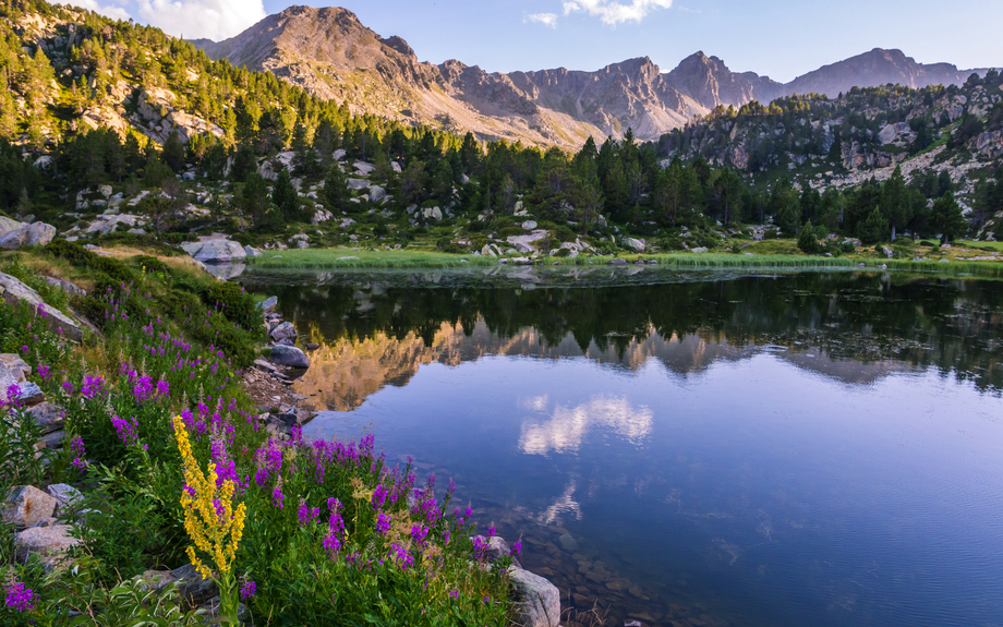 Estany Primer de Pessons
