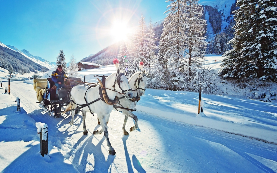 Pferdeschlitten im Winter