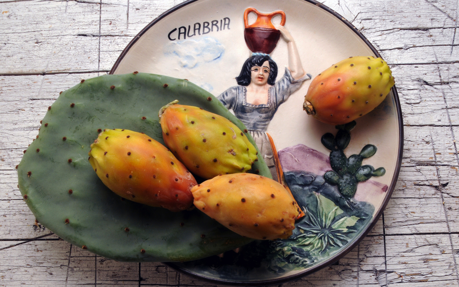 Kalabrien Italien Opuntia ficus-indica Kaktusfeige