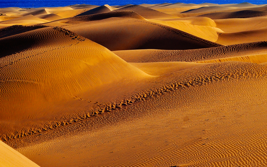 Naturschutzgebiet der Dünen von Maspalomas auf Gran Canaria