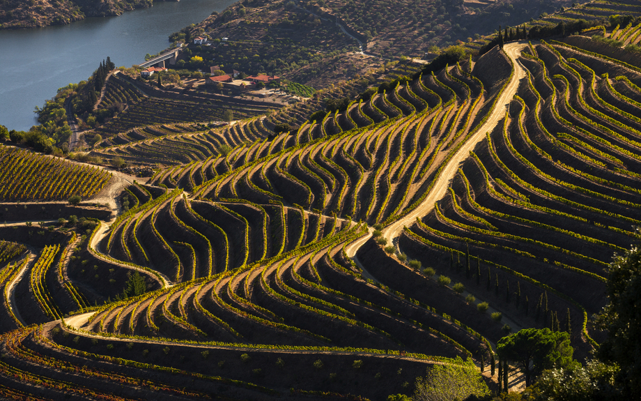 Kulturerbe der UNESCO: Weinberge des Douro-Tals