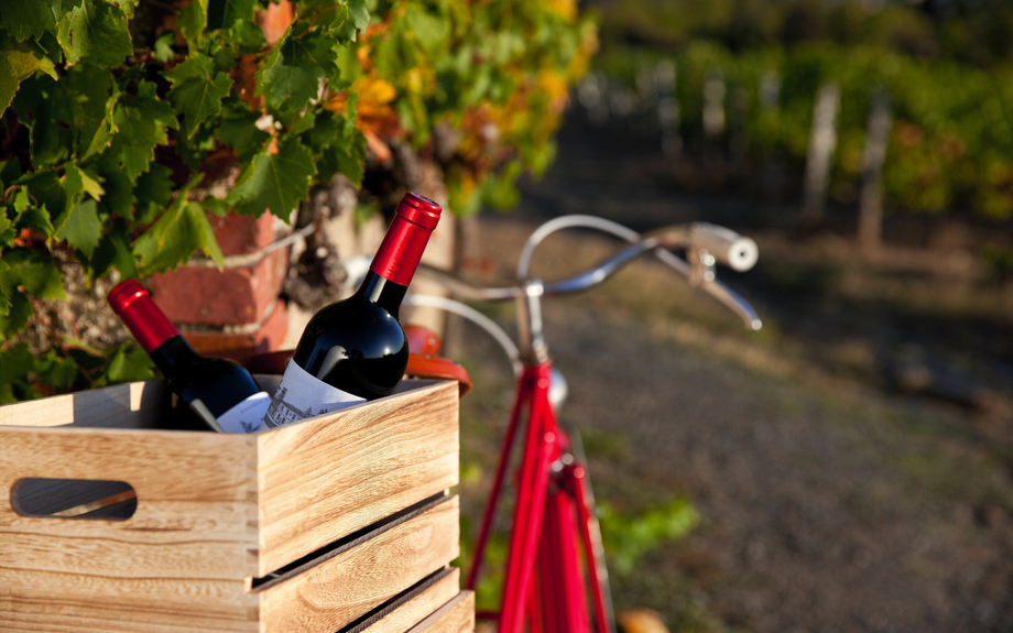 Elsässer Weinstraße