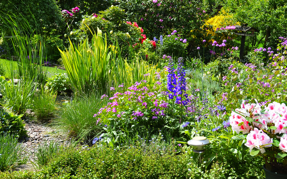 Blick in den schönen Sommergarten