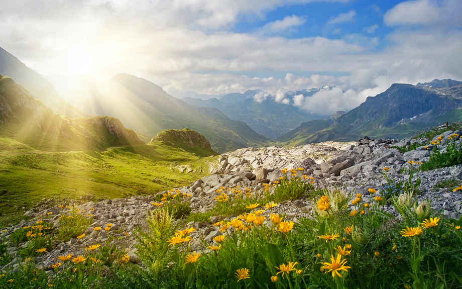 Alpenlandschaft