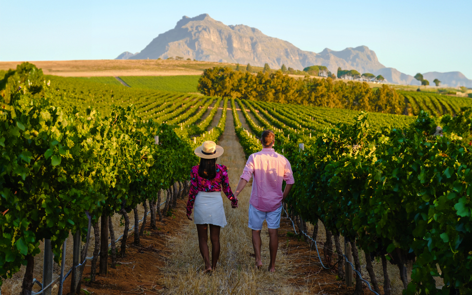 Weinberglandschaft in Stellenbosch
