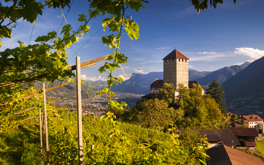 Castello di Tirolo in Dorf Tirol